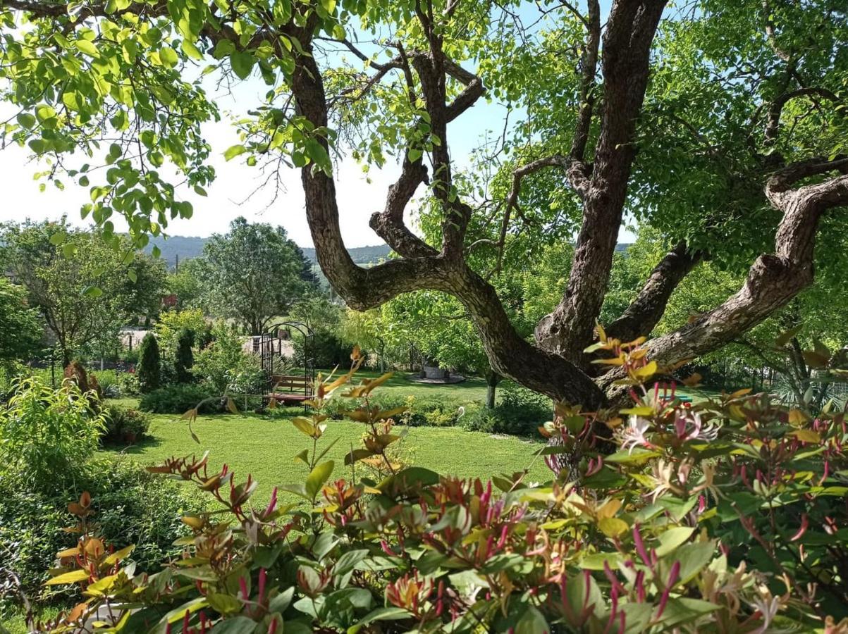 Villa Prolet General-Kantardzhievo Zewnętrze zdjęcie